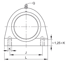 直立式軸承座單元 RSHEY20-TV-VA, 塑料軸承座,內圈帶平頭螺釘的外球面球軸承,耐腐蝕設計,R 型密封 直立式軸承座單元 RSHEY20-TV-VA, 塑料軸承座,內圈帶平頭螺釘的外球面球軸承,耐腐蝕設計,R 型密封