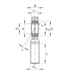 桿端軸承 GAL25-DO, 根據(jù) DIN ISO 12 240-4 標準，帶左旋外螺紋，需維護