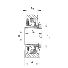 直立式軸承座單元 RASEA20-N, 鑄鐵軸承座，帶緊定套的外球面球軸承，R 型密封