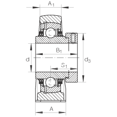 直立式軸承座單元 TSHE55, 鑄鐵軸承座，帶偏心鎖圈的外球面球軸承，T 型密封